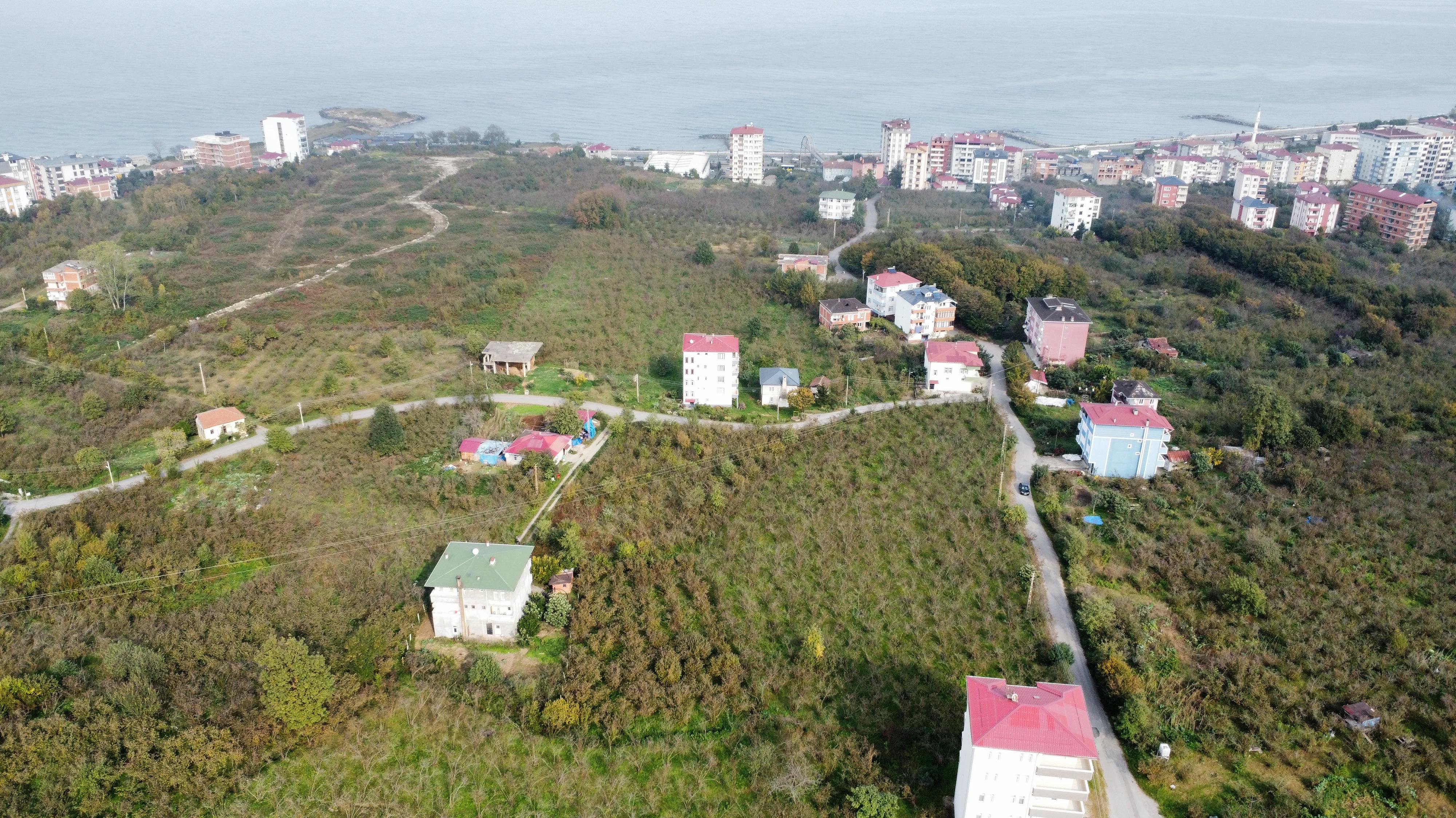 MABEL GAYRİMENKUL ARSİN ANAYOLA YAKIN 1.100 M2 İMARLI ARSA